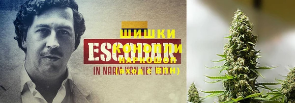 спиды Аркадак